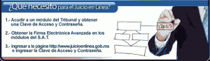 juicio_en_linea