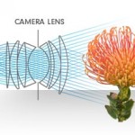 lytro_lightfield